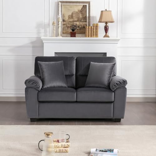 Image of Anderson 2 Seater Sofa for Living Room | Sectional Sofas | Luxurious Fabric Sofa for Home Office | Premium Fabric Sofa Set for Living Room | Leatherette Sofa (Dark Grey Fabric, 2 Seater)