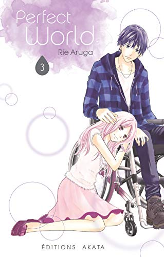 Perfect World — Tome 3