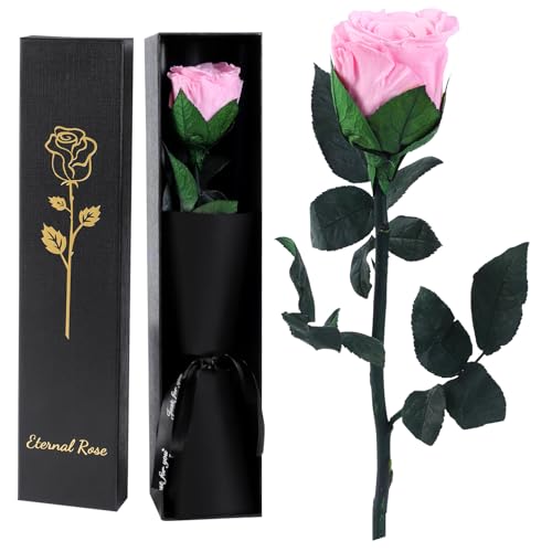 FRFG Rose Eternelle Infinie Rouge avec Tige, Cadeau Anniversaire Femme, Rose Stabilisée Rouge, Amour Cadeau, Fete des Meres, Noël, Saint-Valentin (Rose)