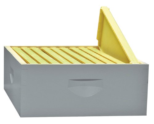 10-Frame Assembled Painted Honey Super Kit, Standard Plastic Frames, Made in The USA