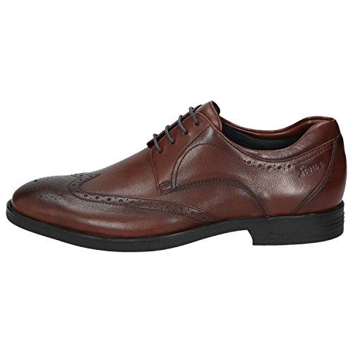 Sioux Homme Forkan plat Oxford noire marron chaussure basse classique