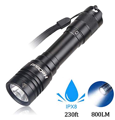 Garberiel 800 Lumen IPX8 LED Waterproof Flashlight for Diving Rechargeable Scuba Dive Lights