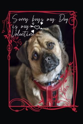 Valentines gifts for her, Sorry boys my dog is my valentine: Valentine's Day Gift Notebook For Women | Valentine's Day Gift For Girlfriend | 6X9 ... Pages | Love Journal | Heart-Theme Cover