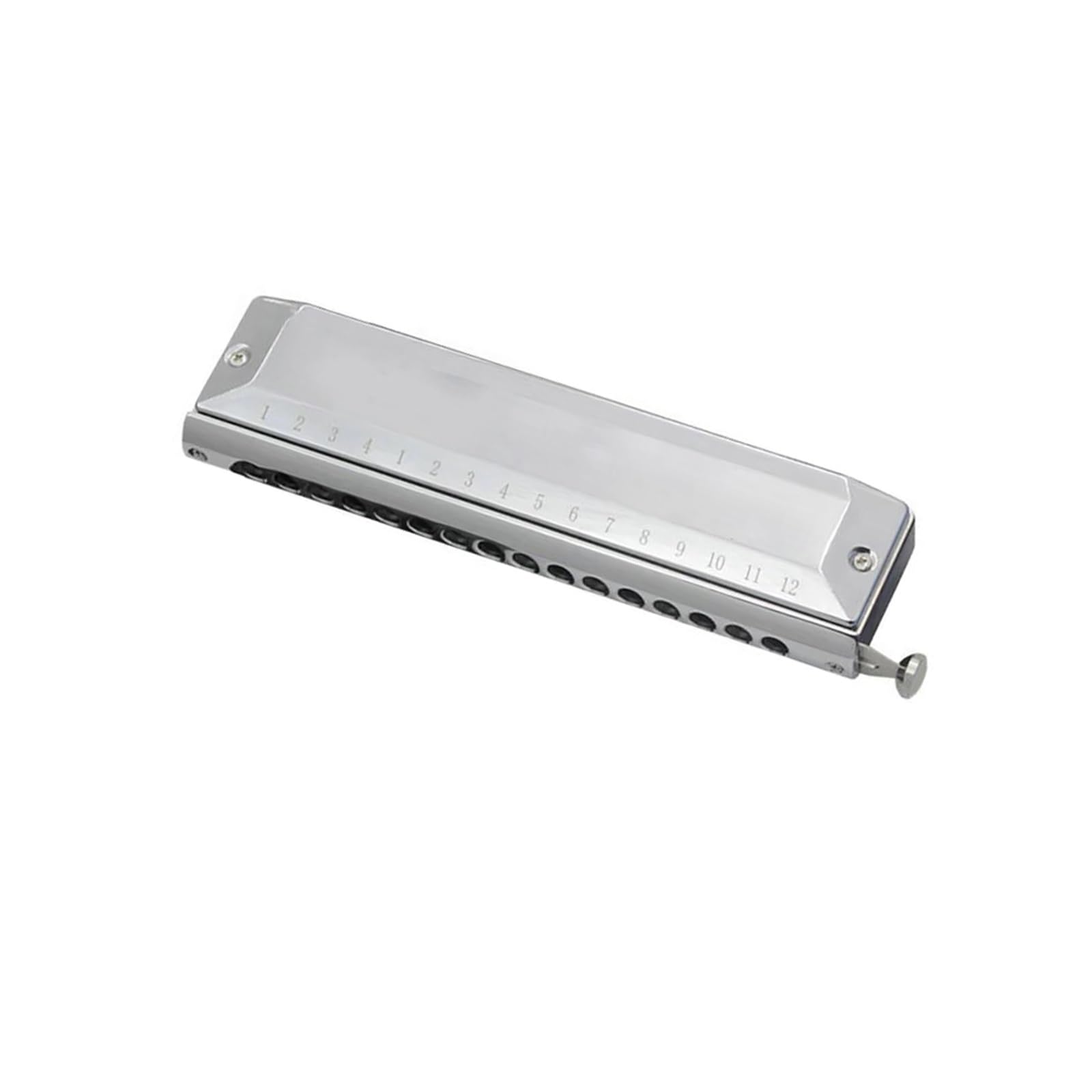 Diatonische Mundharmonikas Mundharmonika Musikinstrument Erwachsene Anfänger