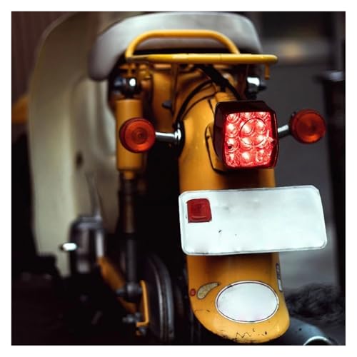 Luz trasera LED de 12V para Honda Dax Chaly Monkey CT70 ST50 5