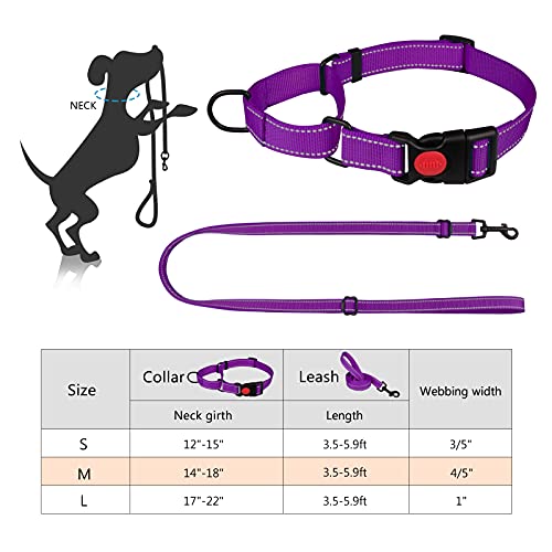 Martingale Dog Collar And Leash Set Martingale Collars For Dogs Reflective Martingale Collar For Small Medium Large Dogs(Purple&S) #TOP5