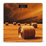 Hay Bales Weight Scale for Body Weight Digital Bathroom Scale High Capacity Accurate Digital Weighing Scales and Easy-to-Read on Backlit LCD Display