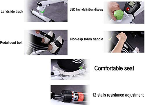 Image of Rowing Machine Multifunctional Silent Folding Hydraulic Rowing Machine 12-Speed Resistance Adjustment Cardio for Home Gym