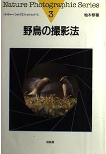 『nifunifa』ボノラ 大きな木とガイコツたち ボノラ絵/ガイコツ料理人 - メキシコ雑貨 通販『nifunifa』