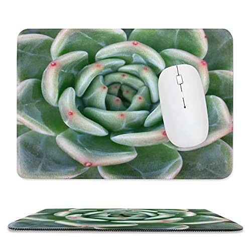   AGbWXeb`ꂽ}EXpbh eNX`}EXpbhAVRSx[X̃}EXpbhA2̃TCỸ}EXpbhAItBXAAbvgbv̗sɓKĂ܂