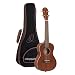 Ortega Guitars, 4-String Timber Series All Solid Concert Ukulele w/Bag, Right (RU11)
