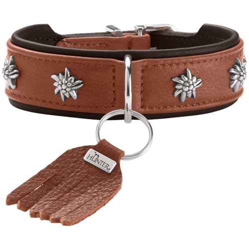 Hunter München Leder-Hundehalsband (Kognak/Schwarz)