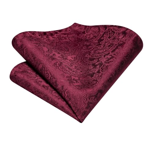 Image of Dubulle Paisley Floral Ascot for Men Self Tie Mens Cravat and Pocket Square Cufflinks Wedding