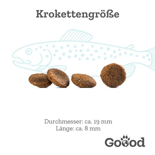 Goood Adult Nachhaltige Forelle – Trockenfutter, Hundefutter – getreidefrei, für Haut und Fell, mit hochwertigen Proteinen – für ausgewachsene Hunde – 10kg