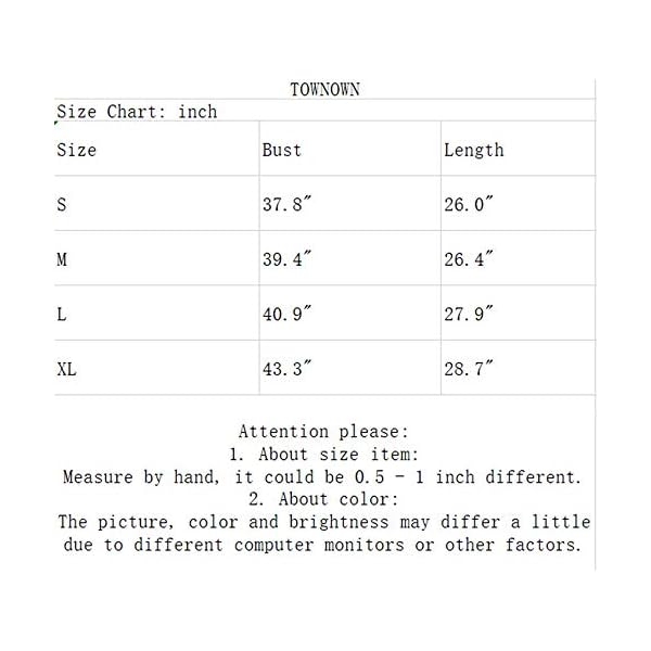 Gay Pride T-Shirt Lesbian Shirt Retro Rainbow Pride Shirt Women Short Sleeve Casual T Shirt Tee (S,Gray 2)