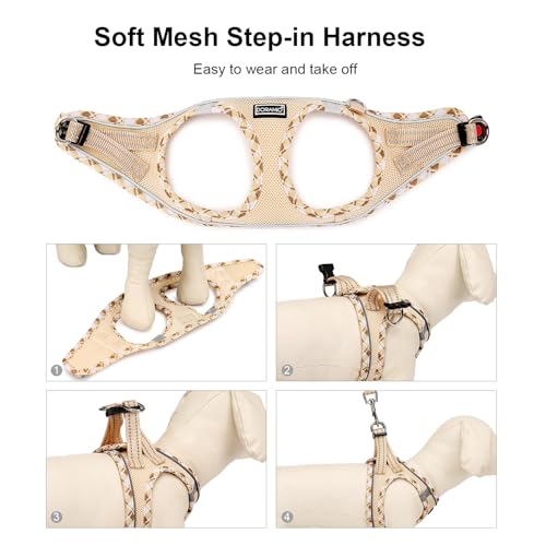 DORAMIO Hundegeschirr Kleine Hunde mit Leine, Step-in Geschirr Reflektierend Atmungsaktiv Brustgeschirr Anti Zug Sicherheitsgeschirr Katzengeschirr für Kleine Hunde, Katzen (Beige, XXS)