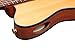 Ibanez FRH10N Thinline Nylon Acoustic-electric Guitar - Natural