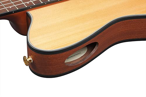 Image of Ibanez FRH10N Thinline Nylon Acoustic-electric Guitar - Natural