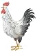 Regal Art & Gift 10323 White Rooster Décor, Large