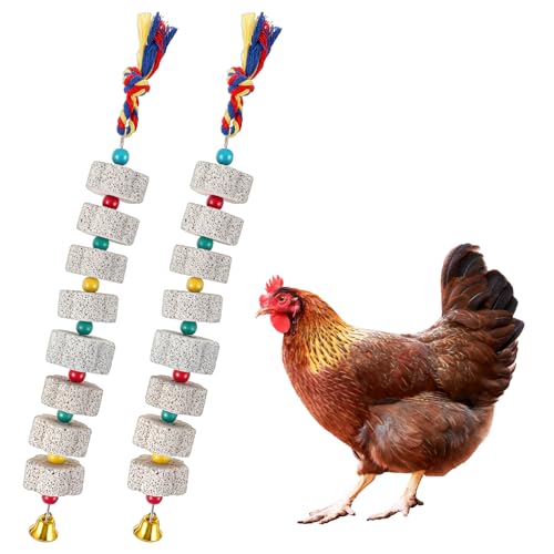 APLZGMG 2 Pack Bird Chewing Toy – Parrot Beak Pecking Toy with Calcium Volcanic Stone, Parrots Enrichment Toys with Bells, Bird Coop Accessory for Birds, Chicken, Parrot, Rodents & Small Pets