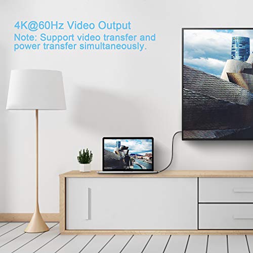 Fasgear Cavo da USB C a tipo C, 1 confezione da 1