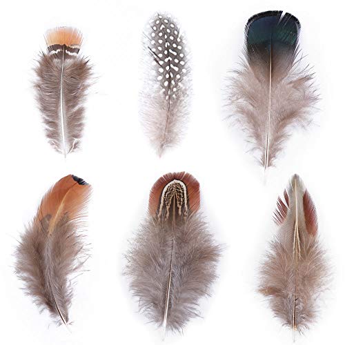 Nsiwem 300 pièces Plumes Naturelles mouchetées Plumes De Poulet Naturel Plume Decoration DIY Boucle d'oreille Ailes Dream Catcher Artisanat Activités De Mariage Maison Décoration Partie Cover