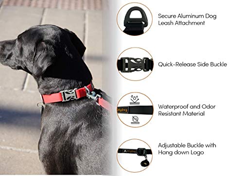 Ollydog Tilden Collar, Waterproof Dog Collar With Quick Release Buckle, Coated Stink-Proof Webbing, Lightweight Collar For Large, Medium And Small Dogs (Medium, Teal) #TOP7