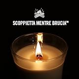 Woodwick B07FT1PH5Z lato 4