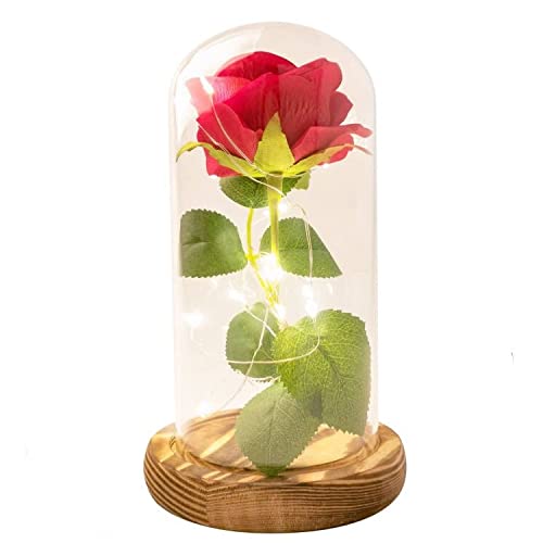 JOBOSI Rose, Night Light, Rose Light, Best Gift for Girl Friend, Birthday Gifts, Glass Rose, Rose Light, Room Decor,Valentine's Day Gifts, Never Fade Rose