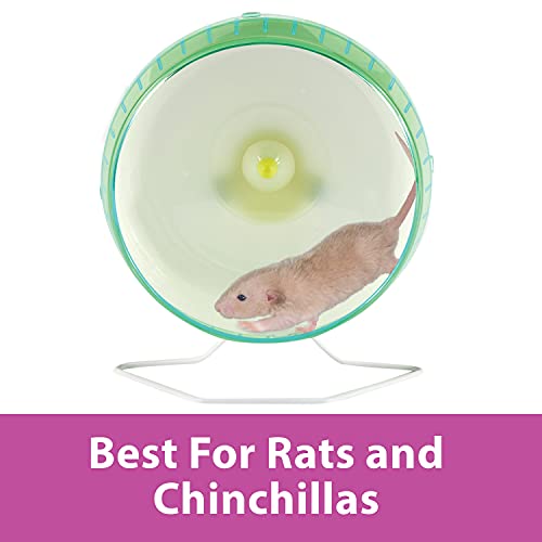 Kaytee Silent Spinner Wheel For Pet Chinchillas, Rats, And Hedgehogs, Giant 12 Inch #TOP5