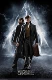 Trends International Fantastic Beasts: Crimes Of Grindelwald - Teaser Wall Poster, 22.375' x 34', Unframed Version