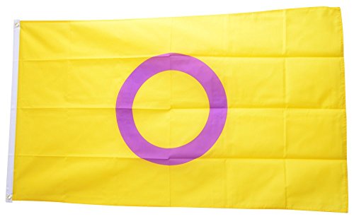 Flaggenfritze® Flagge/Fahne Intersex Pride - 90 x 150 cm