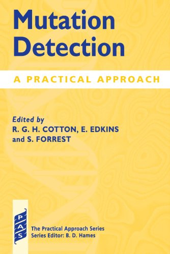 Mutation Detection: A Practical Approach: 188 (Practical Approach Series) view 2