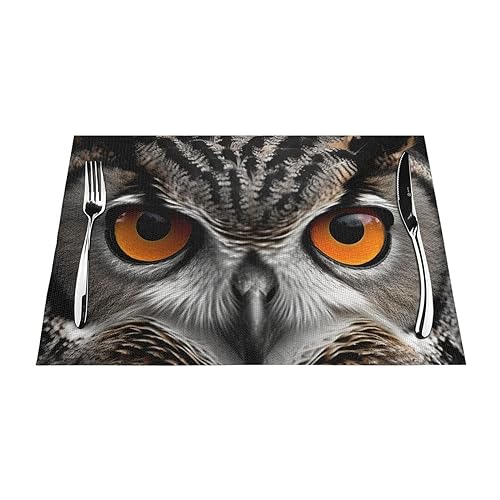 Sets de table en PVC antidérapants imperméables 30x45cm pour table à manger moderne
