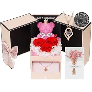 ADDWel Preserved Rose Gifts for Her- Unique Forever Preserved Real Rose with I Love You Necklace 100 Languages, Eternal Rose Gifts for Women Mom Girlfriend Wife Sister on Birthday or Anniversary