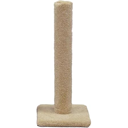 classy kitty scratching post