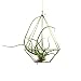 Rustic Style Wall Freestanding Hanging Diamond Tear Drop Shape Metal Tillandsia Air Plant Rack Wedding Decor Holder Bronze Color 6.3inches width x 6.3inches width x 7.87inches height No Plants
