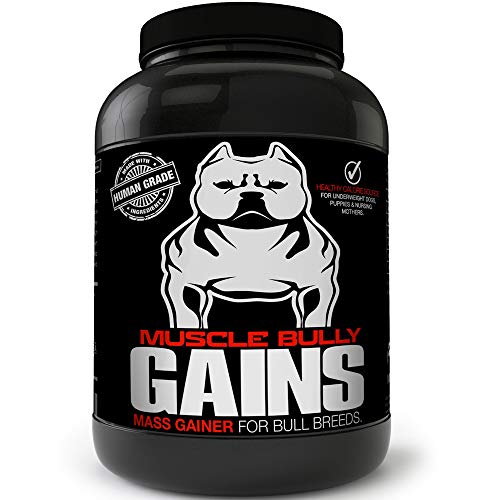 Muscle Bully Gains - Mass Weight Gainer