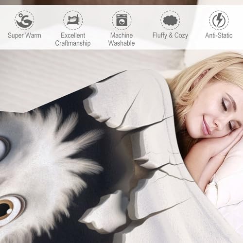 Couverture oiseau en polaire flannel douce, idée cadeau lit