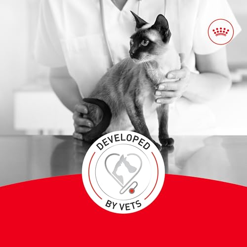 ROYAL CANIN Feline Health Nutrition Aging 11+ Dry Cat Food for Seniors, Kibble Rich in Energy for Cats Over 11 Years, Supports Optimal Health & Vitality, 6 lb Bag - image 4