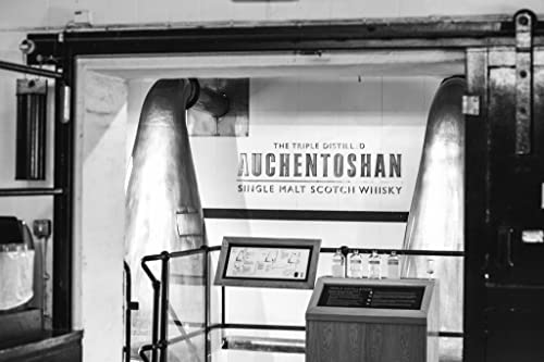 Auchentoshan Three Wood | Single Malt Scotch Whisky | mit Geschenkverpackung | 43% Vol | 700ml Einzelflasche | 1er Pack - Image 7
