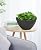 LaDoVita Plant Pots with Drainage Holes, 12 Inch Large Planters for Indoor Plants, Plastic Flower Pots Outdoor, Set of 2 Pack, Frosted Black