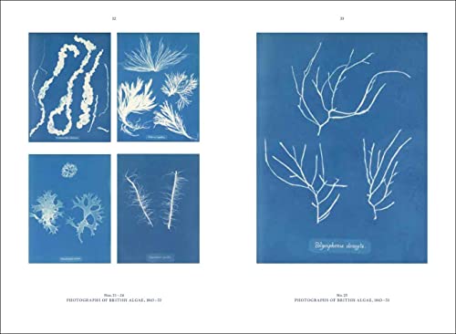 Anna Atkins: Blue Prints