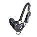 Tahoe Tack Nylon Overlay Alpaca Halter with Padded Noseband (Paisley, Large)