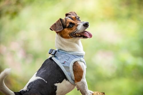 CHIARA MIA Soft Chest Harness, Size XL (Soft Dog Harness, Water-Repellent Fabric Exterior, Adjustable with Velcro Closure - Image 2