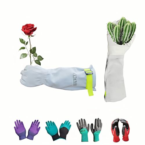 wfkwcxw Rose Pruning&Poison Ivy and Cactus...