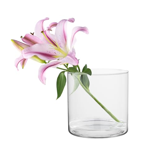 TREND FOR HOME Deko-Glasbehälter 19 cm Zylinder Vase Blumenvase...