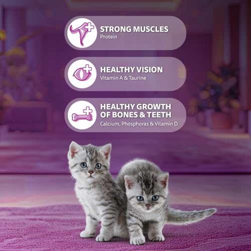 Image of Whiskas Junior Mother Cat & Kitten (2-12 Months) Dry Cat Food, Ocean Fish Flavour, 200g, Contains 41 Essential Nutrients, Complete & Balanced Nutrition for Mother Cats & Kittens