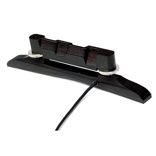 Best Pickup For Acoustic Archtop Guitar Expert Review The Modern