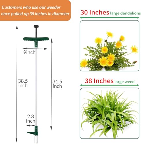 Walensee WT-001G Weed Puller, Stand Up Weeder Hand Tool thumb #3